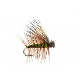 Feeder Creek Fly Fishing Dry Fly Assortment - 12pc Elk Hair Caddis Flies for Trout, Bass & More Freshwater Fish (18, Olive)