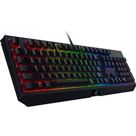 Razer BlackWidow Wired Gaming Mechanical Green Switch Keyboard with Chroma RGB Lighting (Renewed)