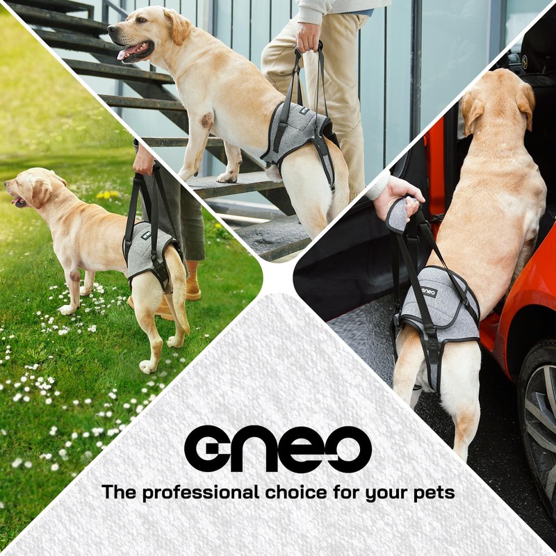 CNEO Dog Lift Harness, Dog Sling for Medium Large Dogs,