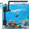 4 Gallon Fish Tank,Small Fish Tank with Filter and LED