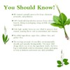 Soilmount Plantain Leaf Tea, Organic Plantago Major Tea,100% Natural (cheqiancao/车前草/질경이)