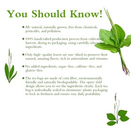 Soilmount Plantain Leaf Tea, Organic Plantago Major Tea,100% Natural (cheqiancao/车前草/질경이) Non-GMO, Caffeine-Free, 18 Bleach-Free Tea Bags