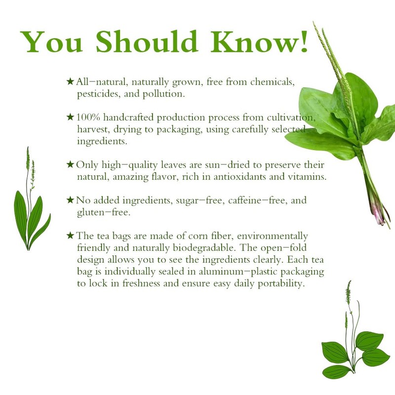 Soilmount Plantain Leaf Tea, Organic Plantago Major Tea,100% Natural (cheqiancao/车前草/질경이)