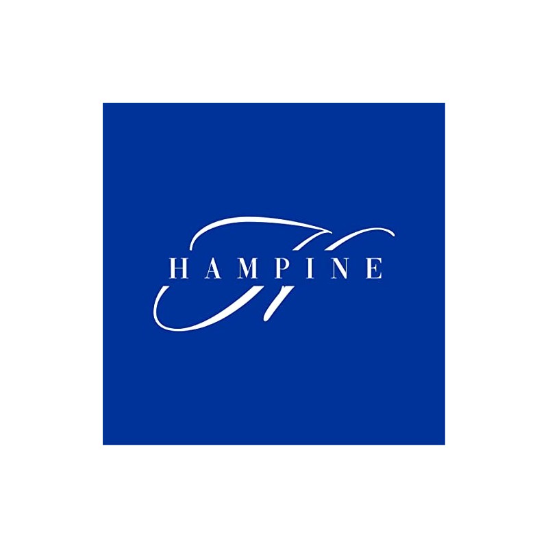 Hampine Pack of 10 Cleaning Scourer Pads for Kitchen, Households,