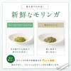 モリンガパウダー 粉末 100% 国産 熊本県産 無農薬 無添加 ノンカフェイン モリンガサプリ 管理栄養士監修【