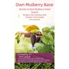 Dried Black Mulberries, No-Wash Dried Mulberry Fruit, Large,Traditional Whole Dried