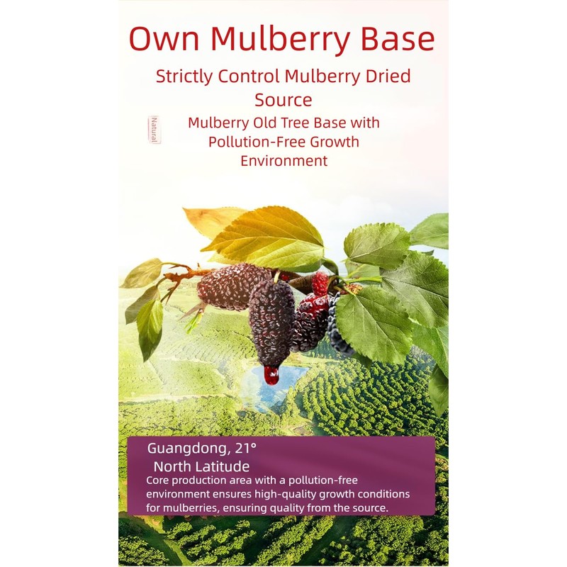 Dried Black Mulberries, No-Wash Dried Mulberry Fruit, Large,Traditional Whole Dried