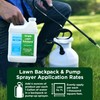 Advanced 16-4-8 Lawn Fertilizer - Liquid Lawn Food Spring &