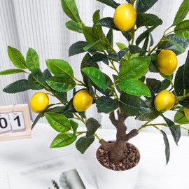 Caxchiling 24Inch Fake Lemon Tree, Lemon Decor for Tabletop, Desk, Centerpiece, Home, Kitchen, Living Room, Artificial Potted Plants with White Planter and Stone Cover