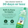 Fresh Breath Clean Teeth Oral Care Gel, 2oz