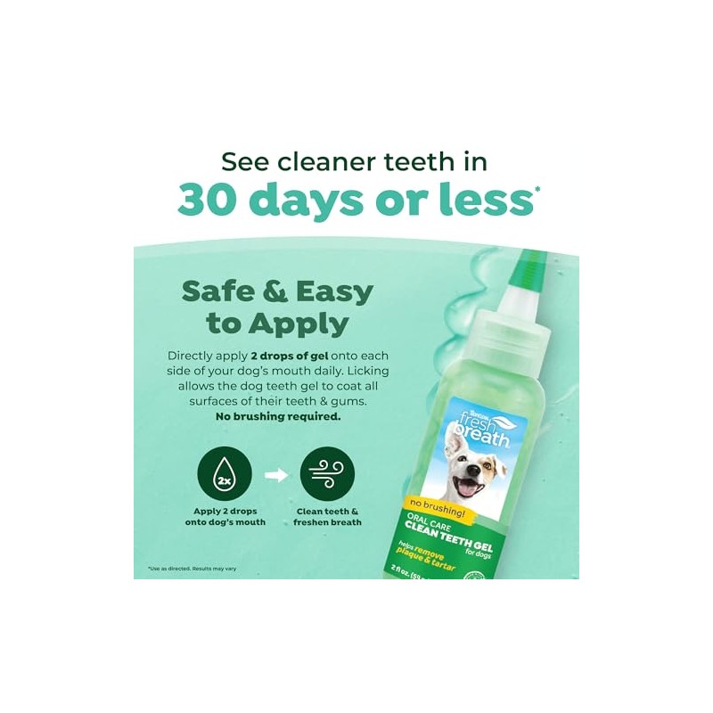 Fresh Breath Clean Teeth Oral Care Gel, 2oz