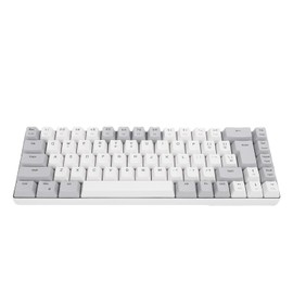 XUMIUZIY 60% Wired Gaming Keyboard, RGB Backlit Ultra Compact 68 Keys Mini Gaming Keyboard, Anti Ghosting and Multimedia Keys, USB Wired Computer Keyboards for Wins, OS X, PC (Gray White)