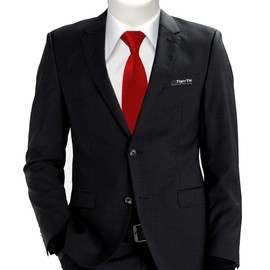 TigerTie Plain Children's Tie Pre-Tied with Elastic Band, Traffic red