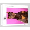 Brown Dobermann Dog Wooden Puzzles for Adults 1000 Piece Jigsaw