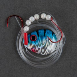 Berkley Walleye Colorado 3 Monofilament Flicker Rig, Pez Tigre Azul, Hook Size: Front/Back 4/4