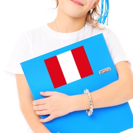 Flag of Peru Sticker Decal Notebook Car Laptop 5.5"x4" (Color)