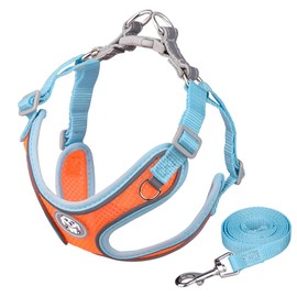 Benala Adjustable No-Pull Dog Cat Harness Leash Set- Reflective Comfortable Control Vest Set- Soft Mesh Step-in Dog Cat Harness Leash,Orange,S