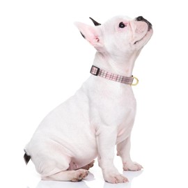 Rnivvi Dog Collar for Small Dogs, Cute Heavy Duty Adjustable Puppy Collar with Quick Release Buckle for Boy Girl & Female, Pet Accessories for Walking Running, XS Length 5/8" Width, Pink Tartan