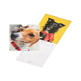 DRAEGER PARIS Small Hanging Dog Wall Calendar 2023 14 x 18 cm 16 Months September 22 to Dec 23 7 Languages Office Kitchen Home Monthly Calendar Vegetable Inks FSC® Certified Paper