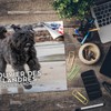 2024 2025 Bouvier Des Flandres Calendar - Dog Breed Monthly