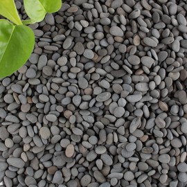 Black Rock, CJGQ 18lb River Rocks Pebbles for Plants Succulents, Decorative Outdoor Landscaping Garden Rocks, Natural Small Mexican Beach Pebbles Aquarium Rocks Gravel for Fish Tanks Vase Yard Decor