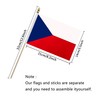 TSMD Czech Republic Stick Flag Czechia Small Mini Hand Held