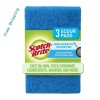 Scour Pads Non-Scratch Scouring Pads for Everyday Job Safe Cleaning