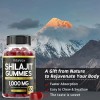 Shilajit Gummies 1000mg Grade With 85+ Energy Usa Made
