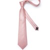 DiBanGu Silk Men Solid Pink Tie and Lapel Pin Set