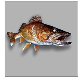 Walleye Sticker/Decal