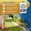 Adios! Spray Boost Surfactant for Herbicide and Weeds, Treats 400
