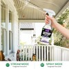 Peppermint Oil Insect & Spider Repellent Spray - All-Natural, Pet-Safe