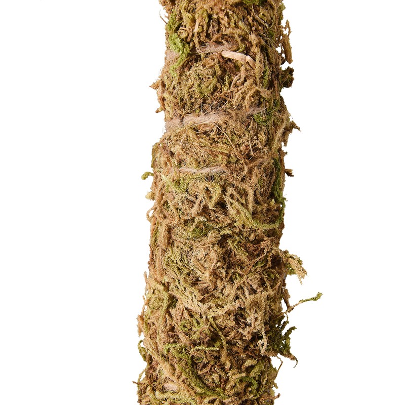 Moss Pole Coconut Stick DIY Modeling Plant Climbing Pole Climbing