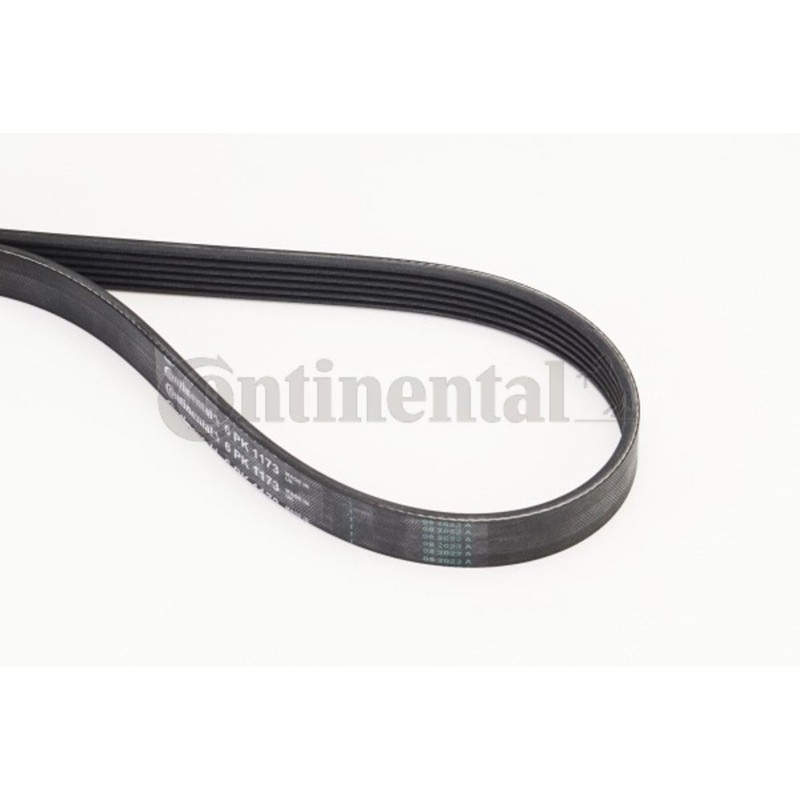 CONTITECH 6PK1173 V-Ribbed Belt