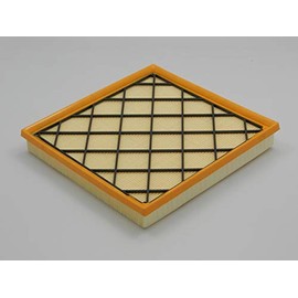 WINFIL FAF-DW-028 Air Filter