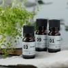 Incent Design Blend Essential Oil Aroma Oil Set of 3