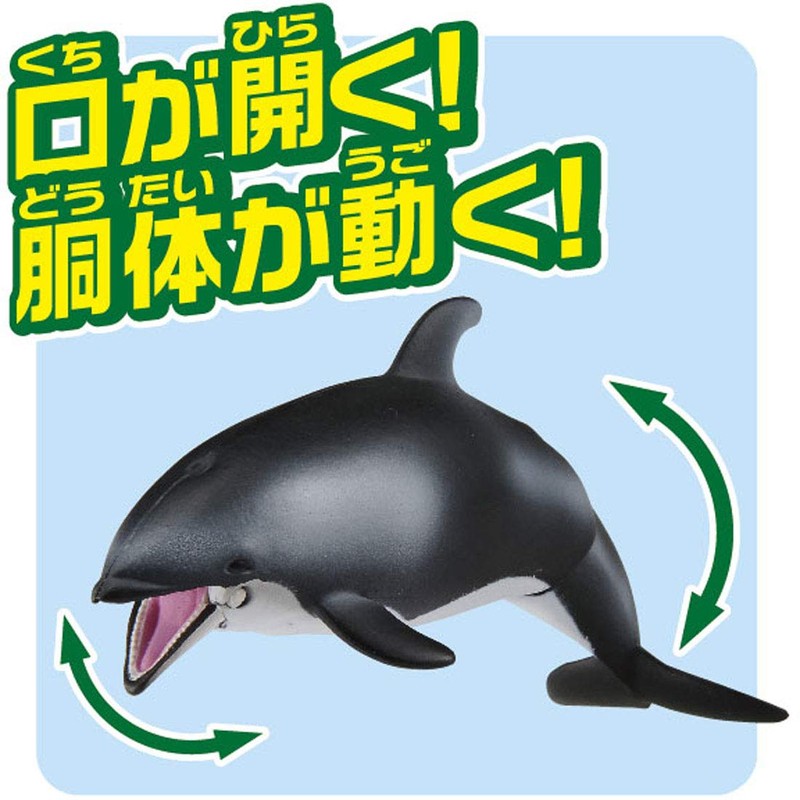 タカラトミー アニア AS-19 カマイルカ (水に浮くVer.) 動物 恐竜 おもちゃ 3歳以上