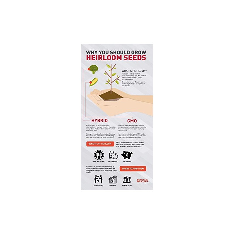 100 Assorted Heirloom Vegetable Seeds 100% Non-GMO (100, Deluxe Assorted