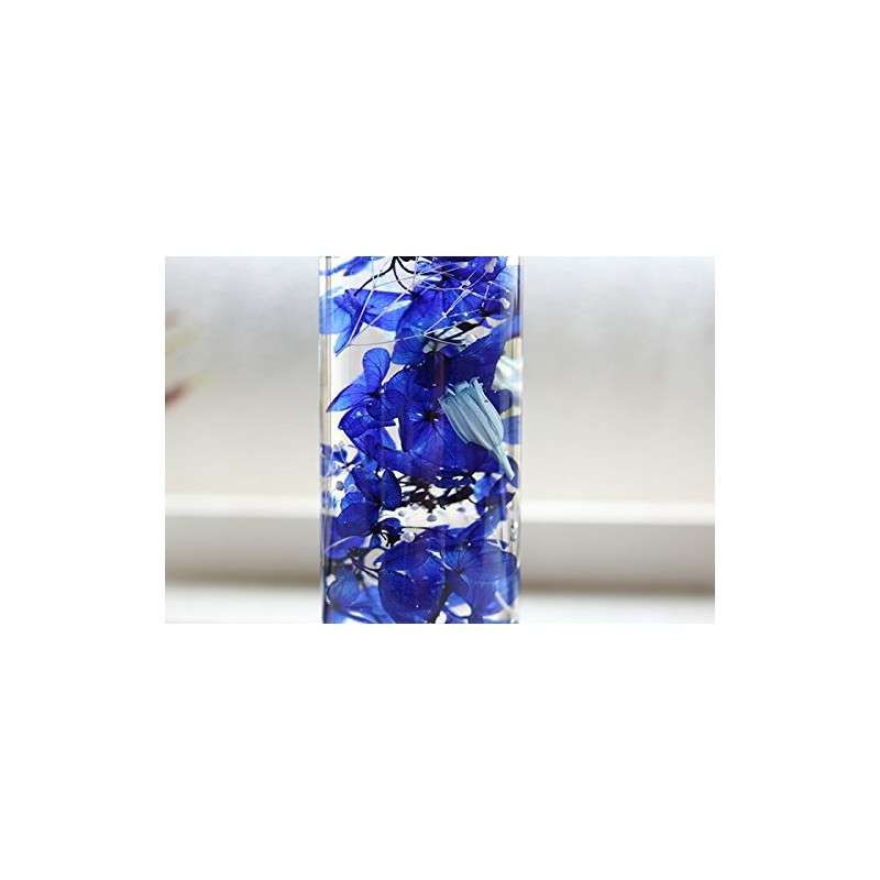 Hortus siccus Blue Colors Series 紫陽花 Daisy Mini Gypsophila Herbarium