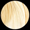 HairFiberPlus 12 g Haarfasern für sofortige Haarausfall in Sekunden (Hellblond,