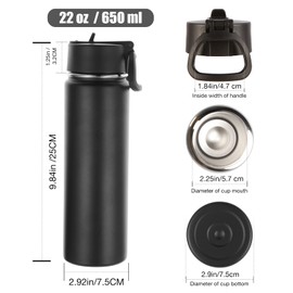 Volhoply Insulated Water Bottles with Straw Bulk 2 Pack, 22 oz Stainless Steel Sports Bottle with Handle Lid, Double Walled Vacuum Metal Cold Water Thermos with Wide Mouth for School Hiking(Mix,2 Set)