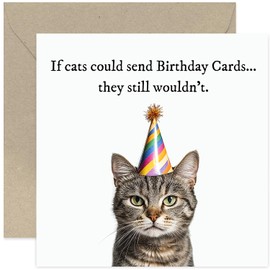 Funny Birthday Cards for Him - Hilarious Cat Birthday Card for Women - Cute Cat Joke Birthday Greeting Card for Her - Best Friend Birthday Card - Cards for Colleague Friends Family | Blank Inside