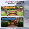 PeckCam® Smart Bird Feeder with Camera 2K HD Auto Detect