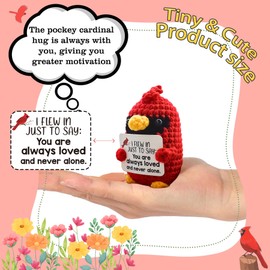 MHSMHL - Regalos cardenales para mujeres, regalos de simpatía para la pérdida de un ser querido, regalo conmemorativo de ganchillo, cardenal de apoyo emocional, estudiantes universitarios, compañeros