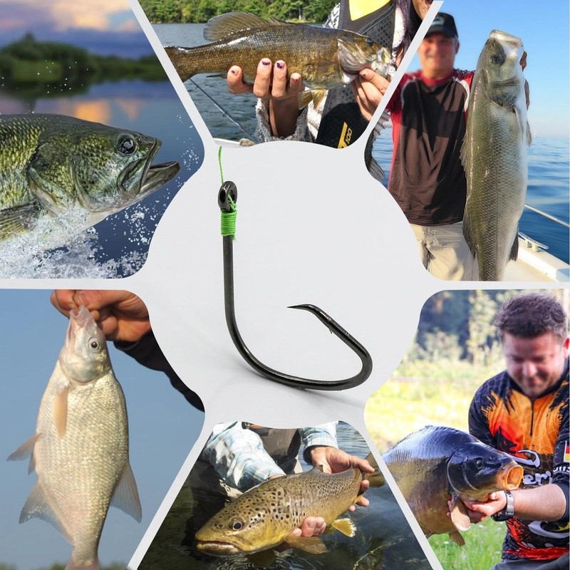 Fishing Circle Hooks Offset Fish Hook Saltwater,Barbed Live Bait Hooks