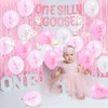 One Silly Goose Birthday Decor Girl One Silly Goose Banner