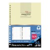 Collect C-757 2024 Diary Leaf (Process Diary for 15 Months),