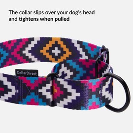 CollarDirect Aztec Martingale Collars for Dogs Heavy Duty Tribal Pattern Safety Nylon Training Collar Large Medium Small (Tribal, M, Neck Size 12"-17")