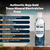 Baja Gold Liquid Trace Mineral Drops – Pure Ocean-Based Minerals