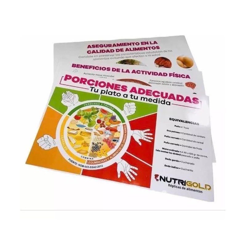 NutriGold Réplica De Alimentos Flexibles Kit Basico 35 + Mat